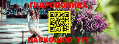 кокаин перу Кингисепп