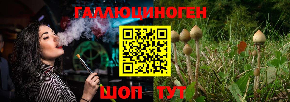 Псилоцибиновые грибы мухоморы Коркино